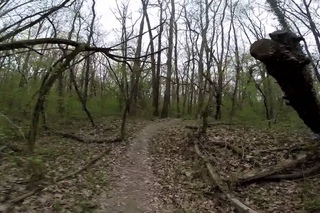 MTB Giro Tra I Boschi Di Cameri e Bellinzago nel Parco Del Ticino (NO)