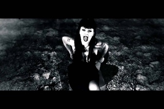 Die So Fluid - What A Heart Is For