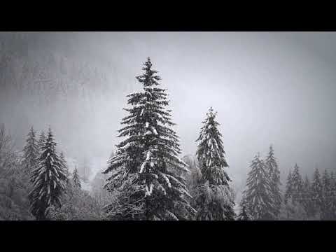 Slow Wind Sounds For Sleeping (1