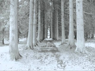 Wiccan Rede - De Silvae Transilvaniae