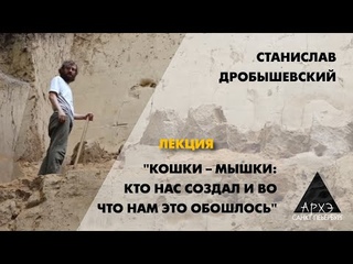 Станислав Дробышевский: “Кошки – мышки: кто нас создал и во что нам это обошлось“