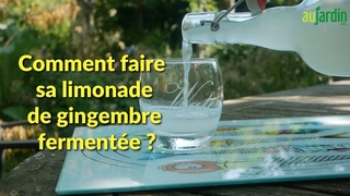 Comment FABRIQUER soi-mme sa LIMONADE de GINGEMBRE fermente