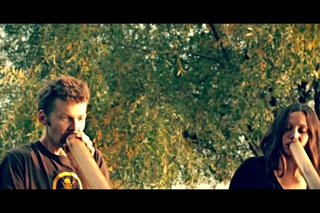 Adèle & Zalem - Urban Tree