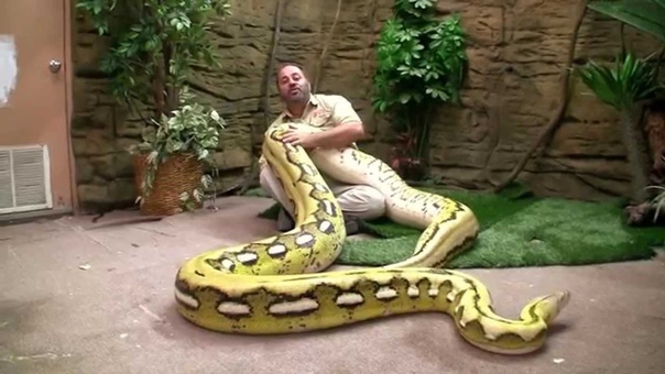 MASSIVE Girl Gives Jay A