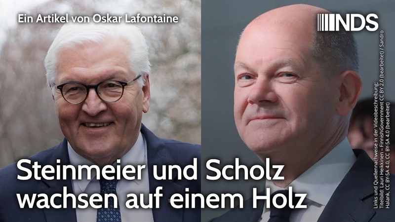 Steinmeier und Scholz wachsen auf einem Holz, Oskar Lafontaine, NDS