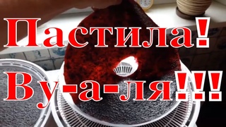 Пастила из черной смородины с кабачком и бананом заменит магазинные сладости! ТопСад