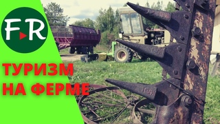 Экскурсии на ферму и сыроварню. Тысячи туристов едут на север Вятского края. АгроТуризм на ЭкоФерме