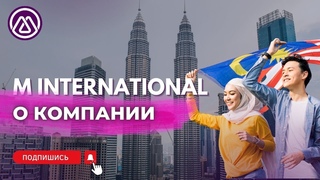 M INTERNATIONAL - О КОМПАНИИ