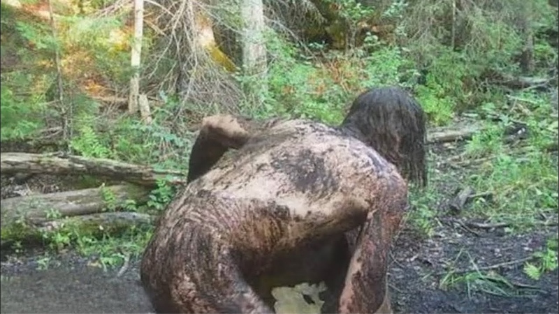 Это Попало на Камеру Это Видео Невозможно