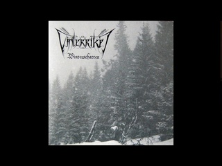 What usually inspires:  Vinterriket  -Das ewige eis
