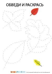 Мелкая моторика задания. Обводка листьев по контуру. Листья деревьев картинки раскраски. Обводка листьев по контуру. Осенние листья обвести по контуру.