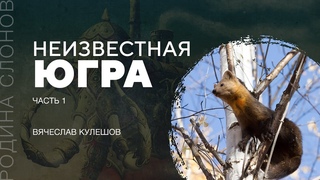 Югра  неизвестные страницы истории России. Часть 1. Вячеслав Кулешов. Родина слонов № 302