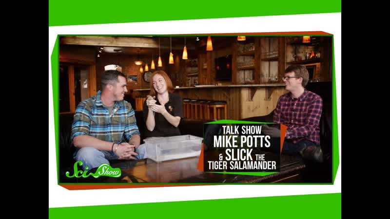 Sci Show Talk Show: Environmental Engineer Mike Potts Slick the Tiger