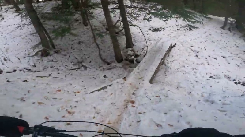 Winter Swine Flu Fat Bike Rocky Mountain Blizzard