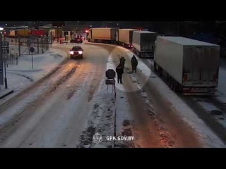 Белорусские пограничники спасли заблудившуюся собаку гражданки Литвы