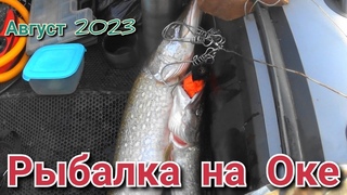 Рыбалка на оке в августе 2023, Я нашёл тот воблер который реально ловит на ОКЕ