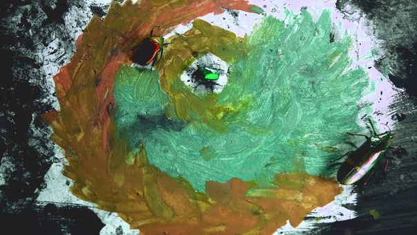 Alek Fin x Robot Koch Lift