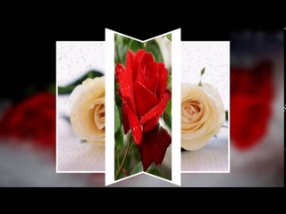 Розы и музика для тебя!