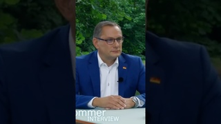 AfD über Fachkräftemangel