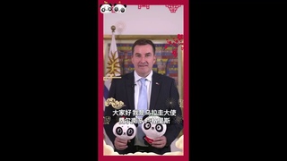 Happy Lunar Chinese New Year  Water Tiger