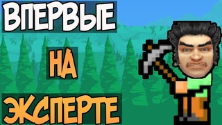 Нарезка | Смертей по терке