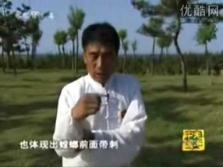 Tang Lang Quan - CCTV Documentary.