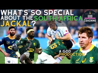 Whats So Special About The South Africa Jackal | South Africa v Wales & Scotland | Rugby Analysis