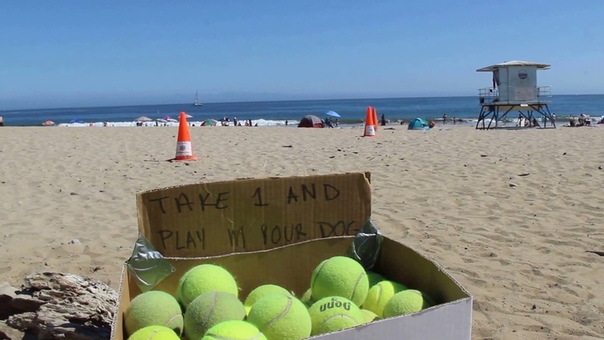 Free tennis balls for
