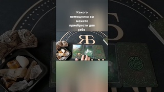 КАКОГО ПОМОЩНИКА ВЫ МОЖЕТЕ ПРИОБРЕСТИ ДЛЯ СЕБЯ #бабаягатаро