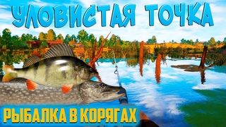 Рыбалка в коряжнике. Тут клюёт щука и окунь! Russian Fishing 4
