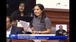 Sigrid Bazn intervencin sobre la denuncia constitucional contra Dina Boluarte