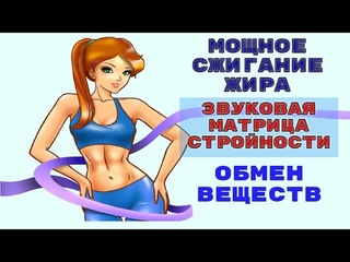 Мощное Сжигание Жира и Потеря Веса_Звуковая Матрица Стройности Р.  Шмидта
