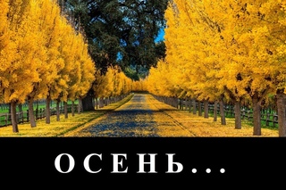 гр. Спасение... “Осень“ - в городе тихая осень... (клип)