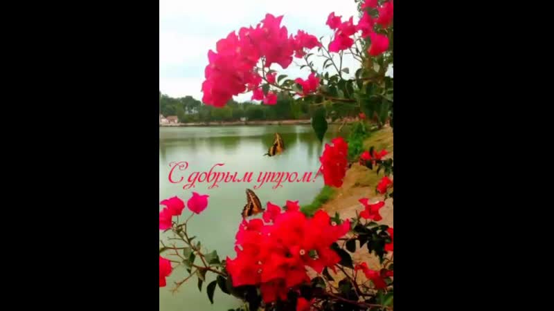 Видео от Купальники и колготки ГЛАМУР