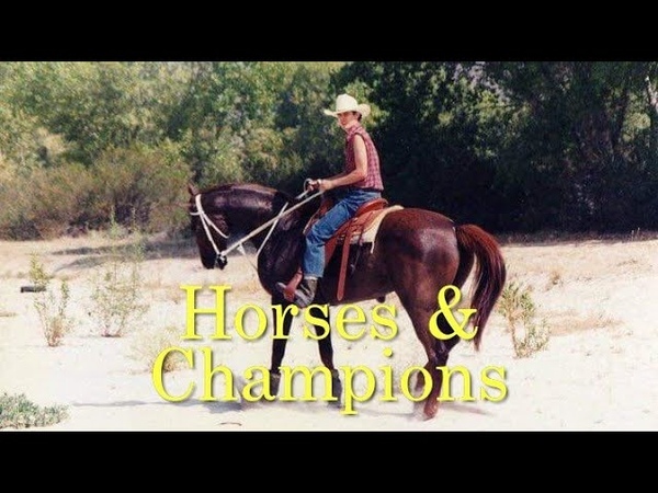 Horses Champions