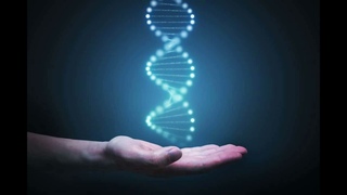 DNA I.: Konečné globálne ID