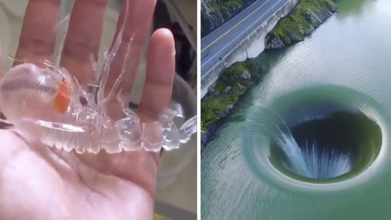 Видео, которые тебя