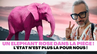 UN ÉLÉPHANT ROSE DANS LA PIÈCE - L’ÉTAT N’EST PLUS LÀ POUR NOUS !