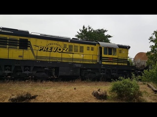 Locomotive SRB-KP 667 001-4 / Freight train (NS - PA) / Donji Titel - Titel,  14. 07. 2021.