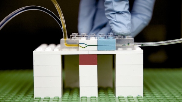 Lab on a