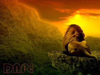 Chill Reggae Music *Boosted & Slowed*