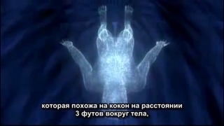 Средний прилив. Биодинамика.