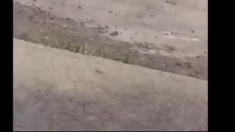 Видео от Vault