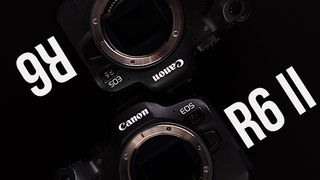 Сравнение Canon EOS R6 VS Canon EOS R6 II / Стоит ли обновляться ТОП камера для ВСЕГО