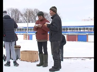 В Курске волонтеры накормили бездомных