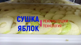 Сушим яблоки: влияние уставки температуры, влажности и скорости воздуха на качество продукта! Разбор
