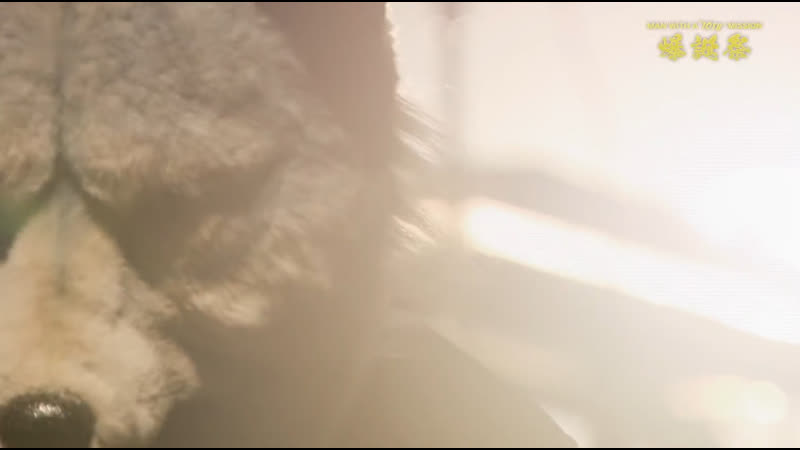 MAN WITH A MISSION The Victors