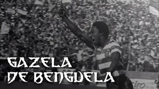 SUPPORTING- GAZELA DE BENGUELA