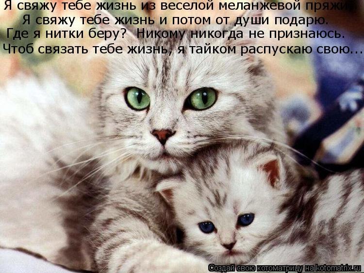 Fibi Buffe | Киев