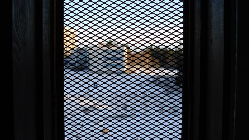 Кирилл Зуев | 